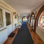 Platan Szallashely Sándorfalva