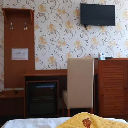 Platan Szallashely 3* Sándorfalva