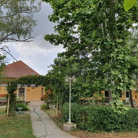 Platan Szallashely Гостевой дом Sandorfalva