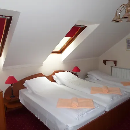 بيت ضيافة Platan Szallashely 3*