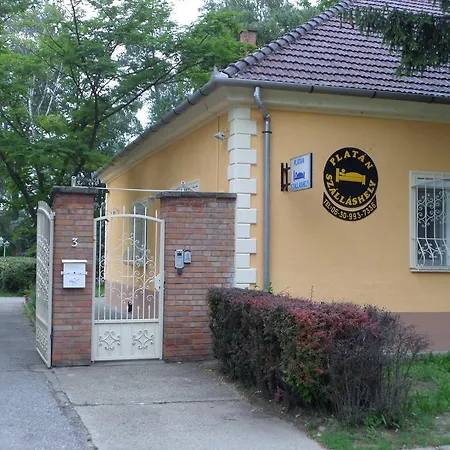 Platan Szallashely Sándorfalva