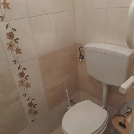بيت ضيافة Platan Szallashely Sándorfalva