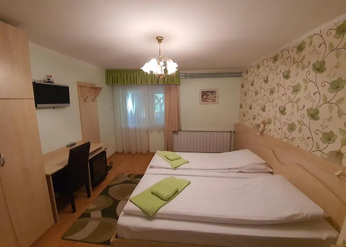 Platan Szallashely Гостевой дом