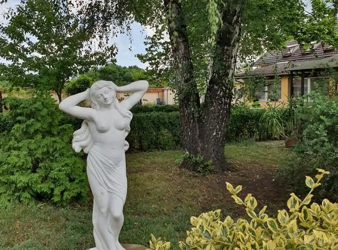 Platan Szallashely Гостевой дом Sandorfalva