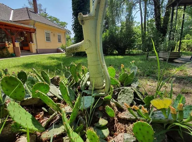 Гостевой дом Platan Szallashely Sandorfalva