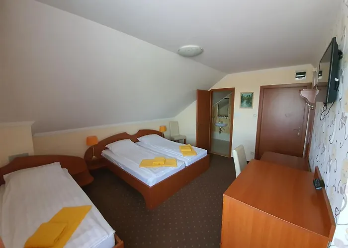 Platan Szallashely 3*