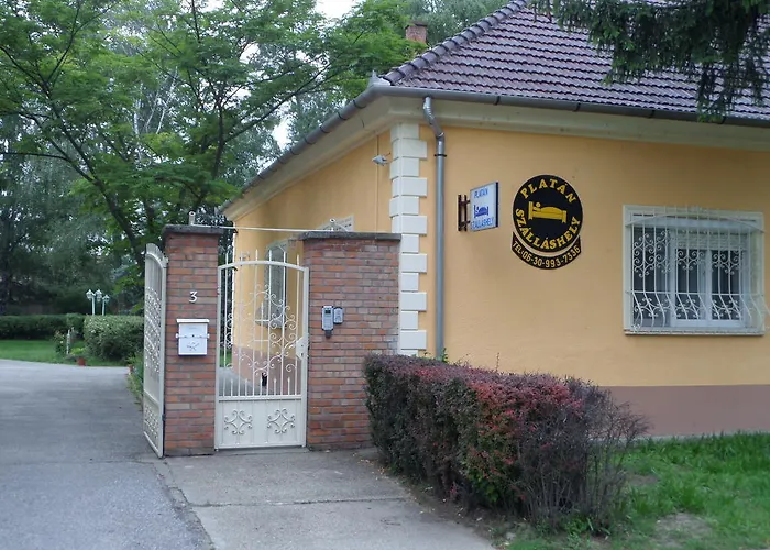Platan Szallashely Sandorfalva